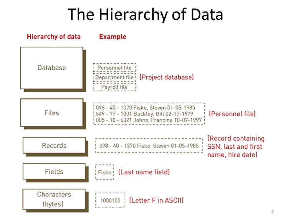 The Hierarchy of Data Bit (a binary digit): a circuit that is either on or off. Byte: 8 bits.