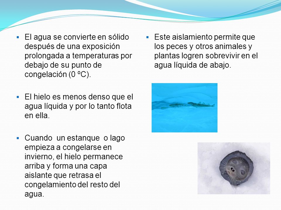 El agua se convierte en sólido después de una exposición prolongada a temperaturas por debajo de su punto de congelación (0 ºC).