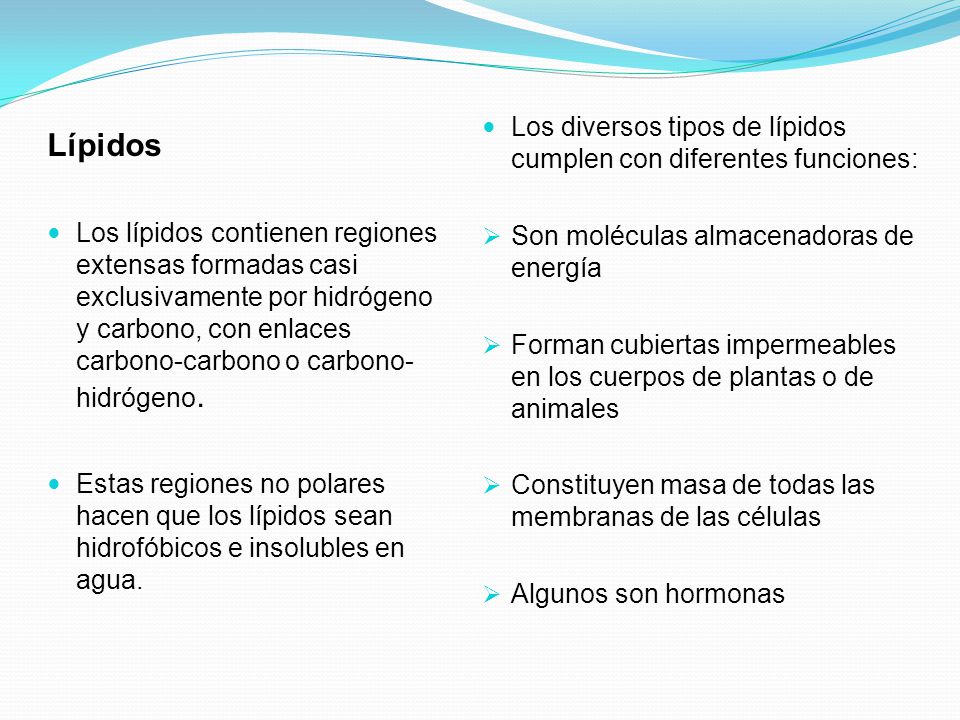 Los diversos tipos de lípidos cumplen con diferentes funciones: