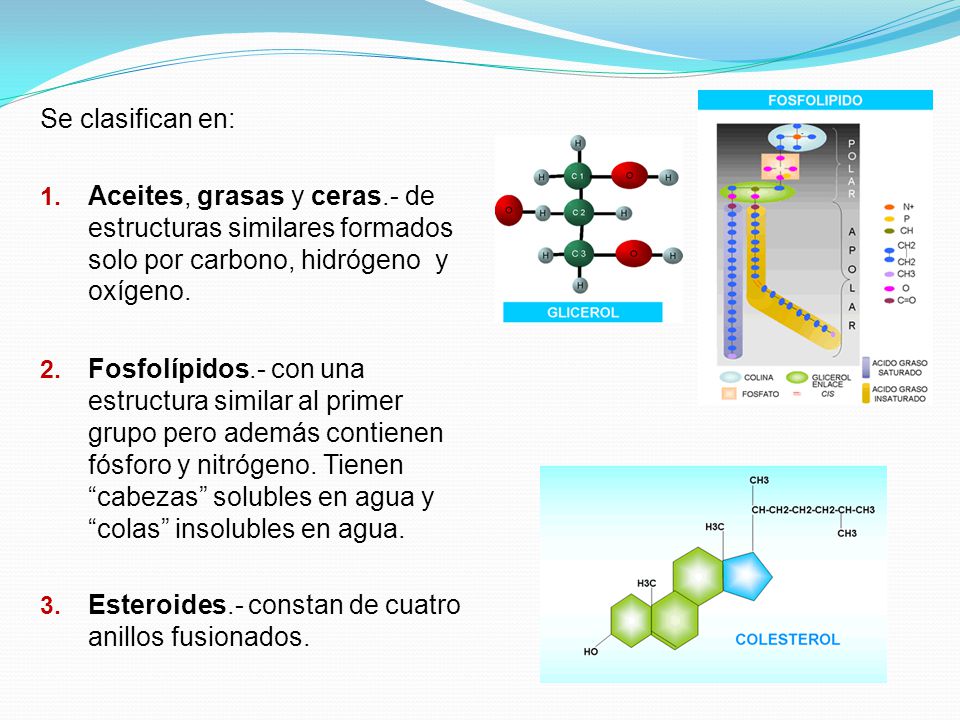 Se clasifican en: Aceites, grasas y ceras.- de estructuras similares formados solo por carbono, hidrógeno y oxígeno.