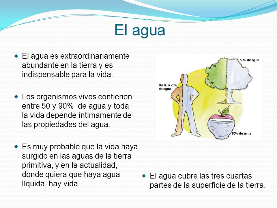 El agua El agua cubre las tres cuartas partes de la superficie de la tierra.