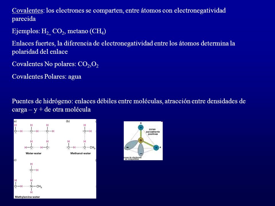 Covalentes: los electrones se comparten, entre átomos con electronegatividad parecida