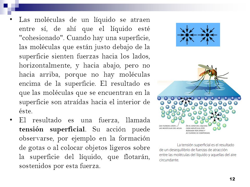 Las moléculas de un líquido se atraen entre sí, de ahí que el líquido esté cohesionado . Cuando hay una superficie, las moléculas que están justo debajo de la superficie sienten fuerzas hacia los lados, horizontalmente, y hacia abajo, pero no hacia arriba, porque no hay moléculas encima de la superficie. El resultado es que las moléculas que se encuentran en la superficie son atraídas hacia el interior de éste.