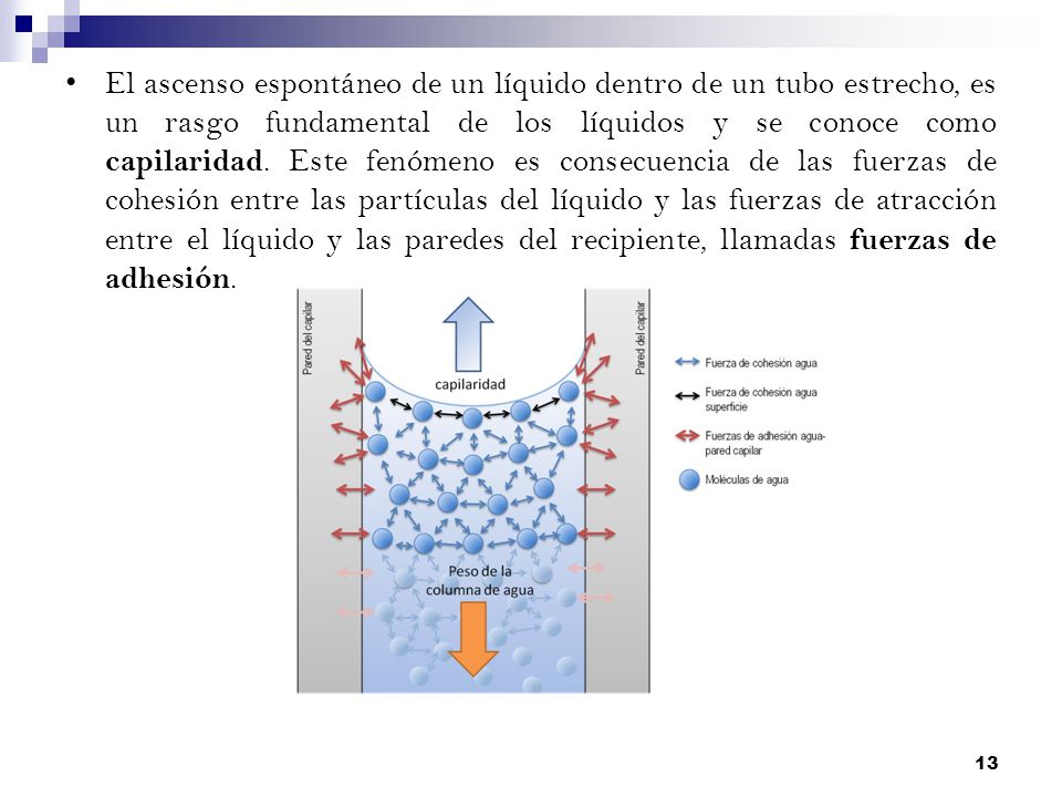 El ascenso espontáneo de un líquido dentro de un tubo estrecho, es un rasgo fundamental de los líquidos y se conoce como capilaridad.