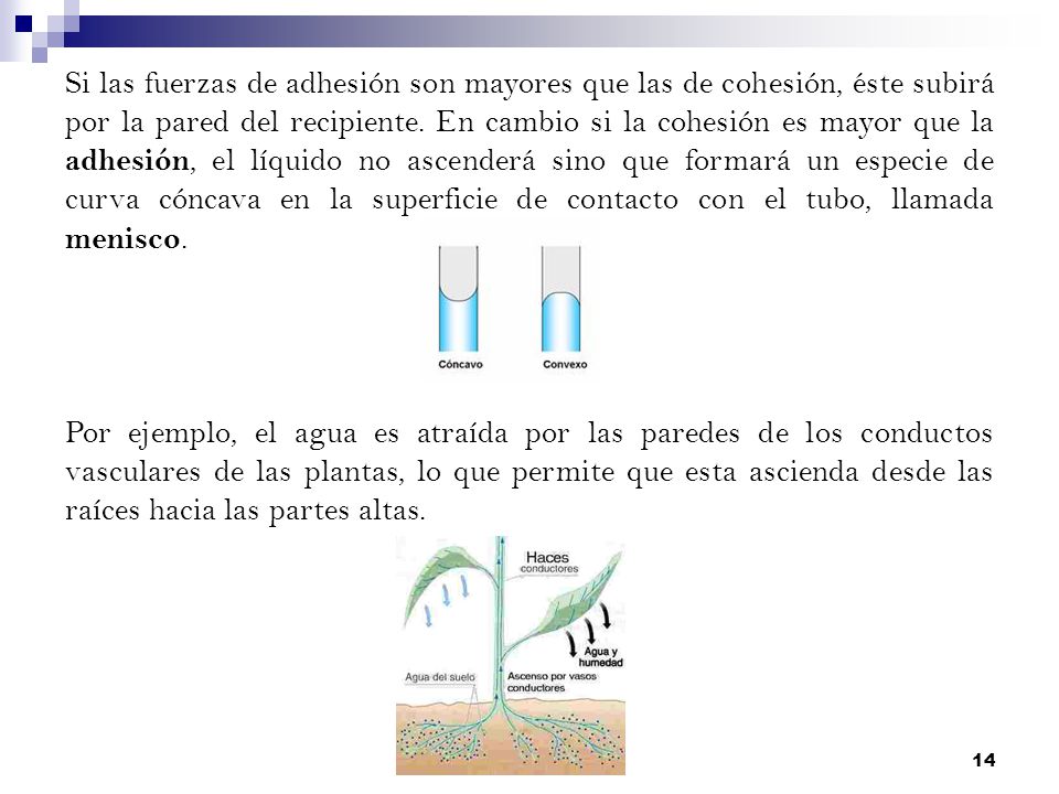 Si las fuerzas de adhesión son mayores que las de cohesión, éste subirá por la pared del recipiente. En cambio si la cohesión es mayor que la adhesión, el líquido no ascenderá sino que formará un especie de curva cóncava en la superficie de contacto con el tubo, llamada menisco.