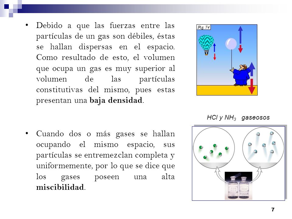 Debido a que las fuerzas entre las partículas de un gas son débiles, éstas se hallan dispersas en el espacio. Como resultado de esto, el volumen que ocupa un gas es muy superior al volumen de las partículas constitutivas del mismo, pues estas presentan una baja densidad.