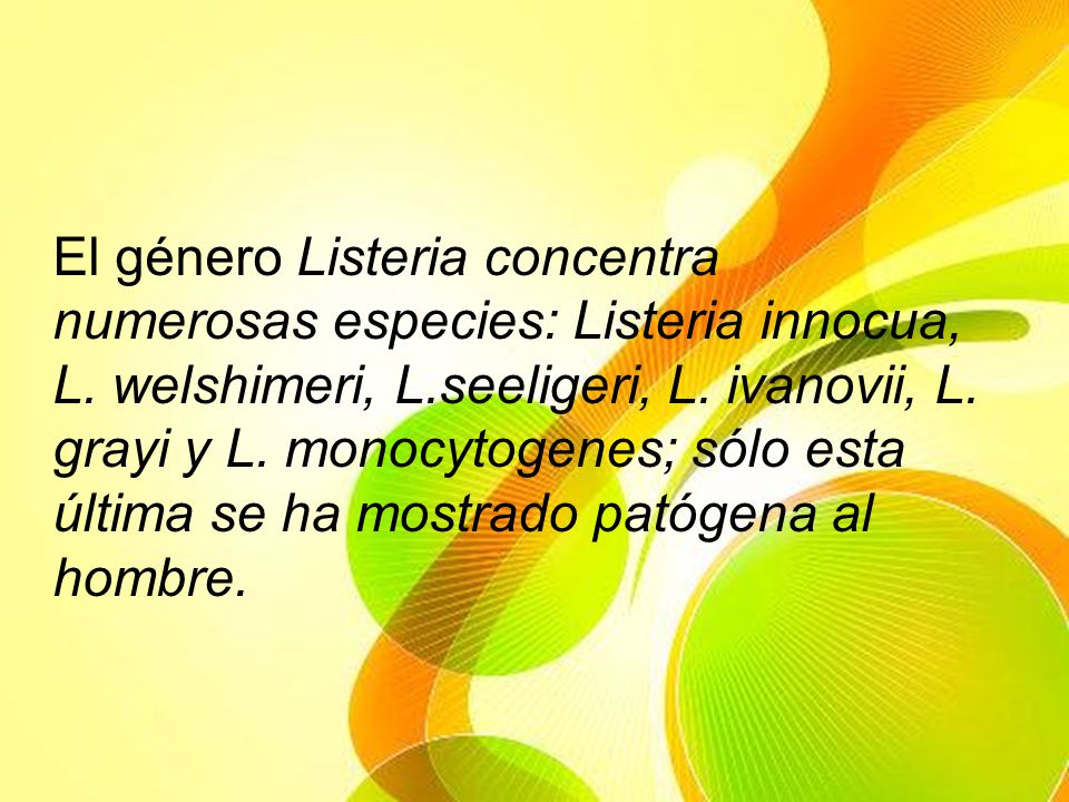 El género Listeria concentra numerosas especies: Listeria innocua, L