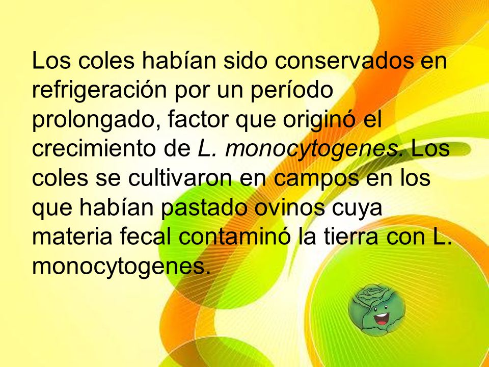 Los coles habían sido conservados en refrigeración por un período prolongado, factor que originó el crecimiento de L.