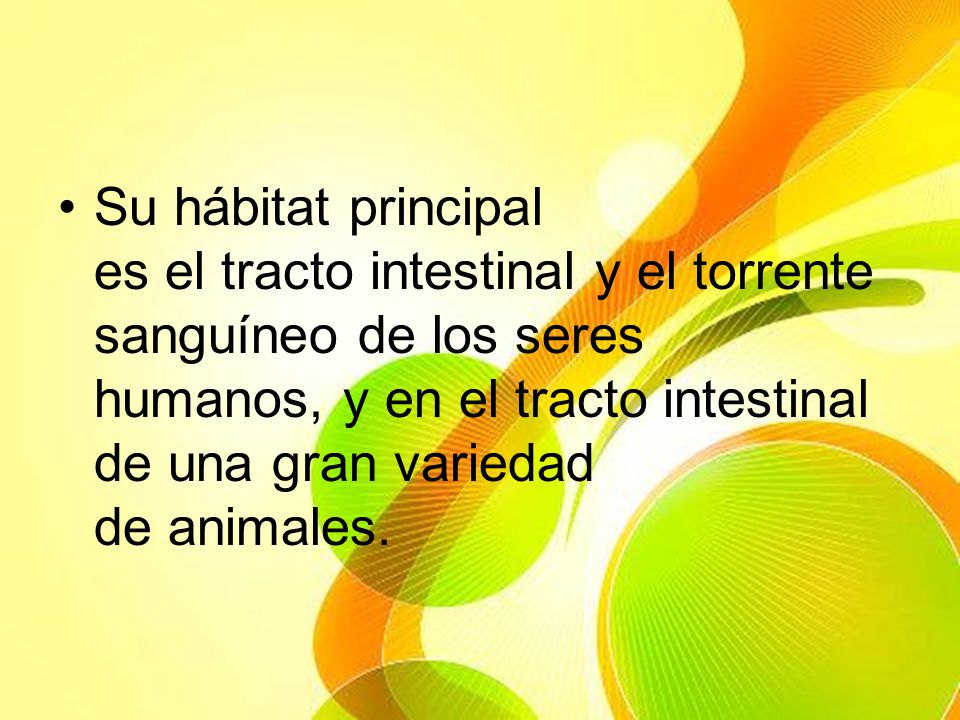 Su hábitat principal es el tracto intestinal y el torrente sanguíneo de los seres humanos, y en el tracto intestinal de una gran variedad de animales.