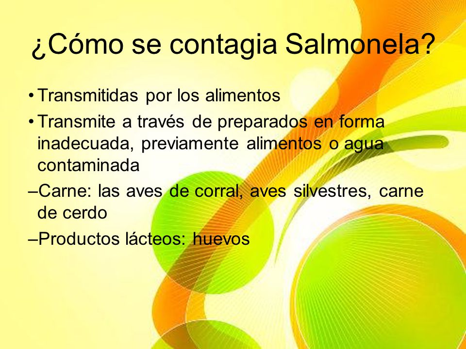¿Cómo se contagia Salmonela