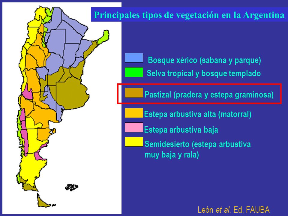 Principales tipos de vegetación en la Argentina