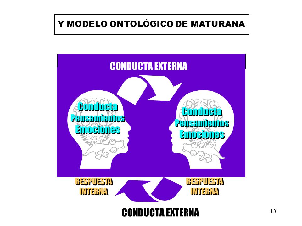Y MODELO ONTOLÓGICO DE MATURANA