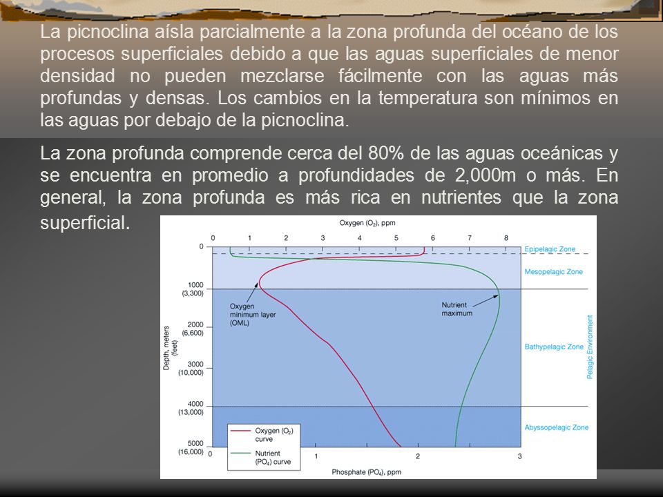 La picnoclina aísla parcialmente a la zona profunda del océano de los procesos superficiales debido a que las aguas superficiales de menor densidad no pueden mezclarse fácilmente con las aguas más profundas y densas. Los cambios en la temperatura son mínimos en las aguas por debajo de la picnoclina.