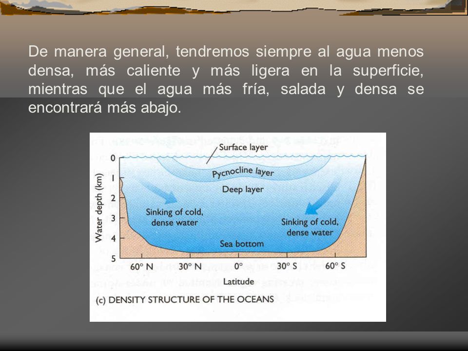 De manera general, tendremos siempre al agua menos densa, más caliente y más ligera en la superficie, mientras que el agua más fría, salada y densa se encontrará más abajo.