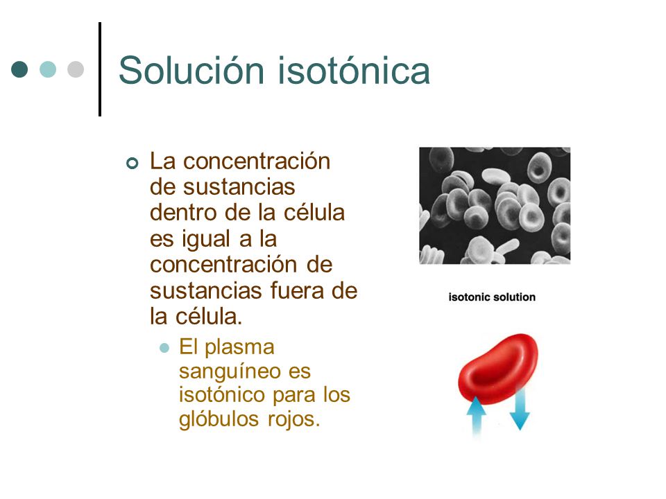 Solución isotónica La concentración de sustancias dentro de la célula es igual a la concentración de sustancias fuera de la célula.