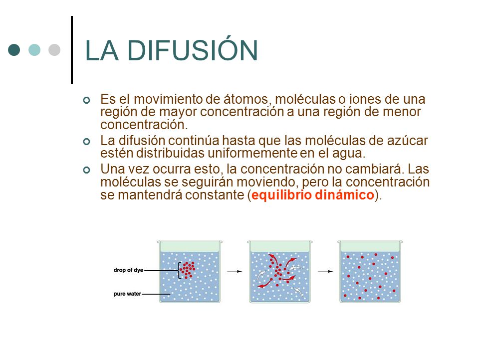 LA DIFUSIÓN Es el movimiento de átomos, moléculas o iones de una región de mayor concentración a una región de menor concentración.