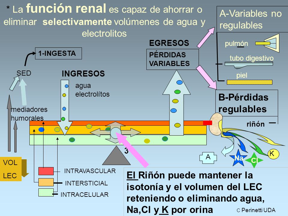 A-Variables no regulables