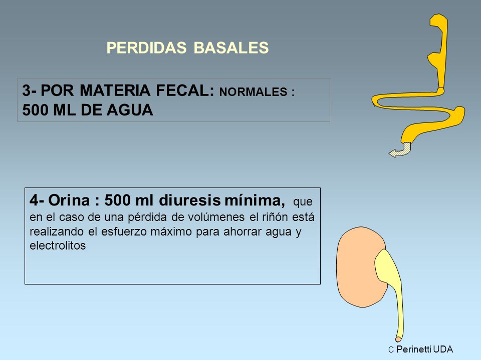 3- POR MATERIA FECAL: NORMALES : 500 ML DE AGUA