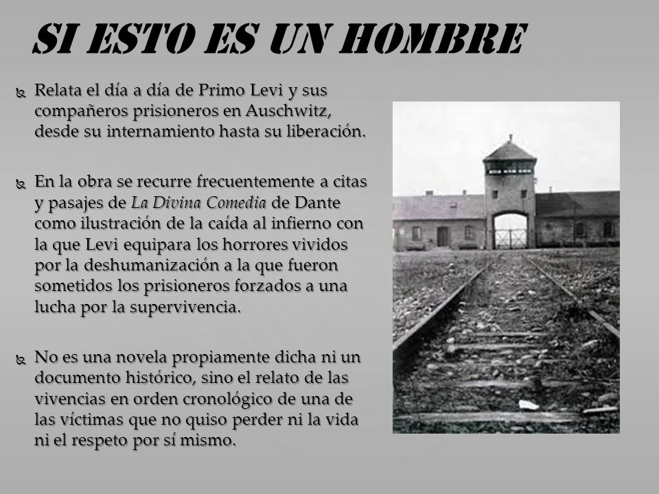 Si esto es un hombre Relata el día a día de Primo Levi y sus compañeros prisioneros en Auschwitz, desde su internamiento hasta su liberación.