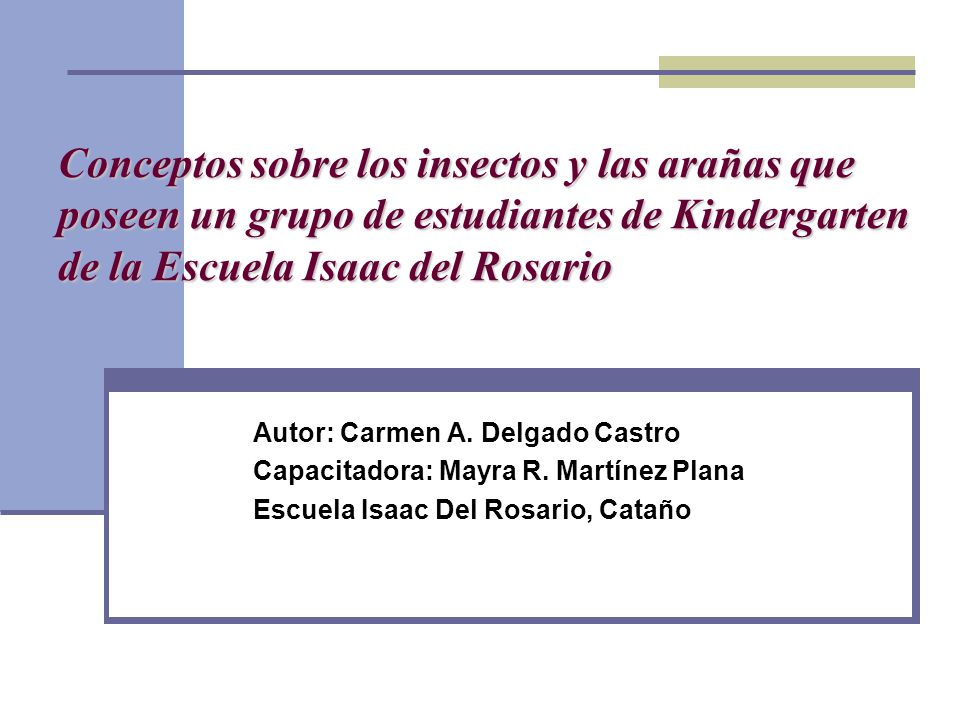 Conceptos sobre los insectos y las arañas que poseen un grupo de estudiantes de Kindergarten de la Escuela Isaac del Rosario