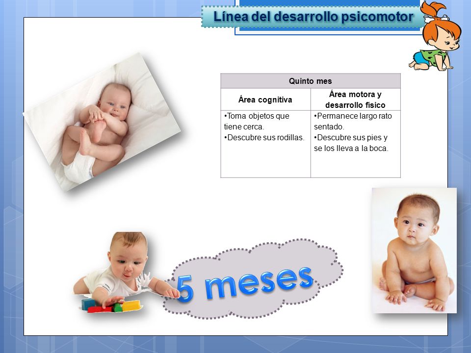 Línea del desarrollo psicomotor Área motora y desarrollo físico
