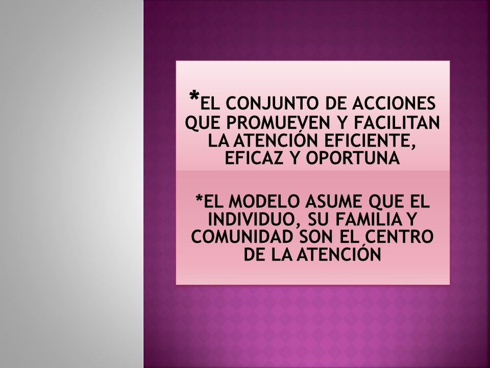 *EL CONJUNTO DE ACCIONES QUE PROMUEVEN Y FACILITAN LA ATENCIÓN EFICIENTE, EFICAZ Y OPORTUNA