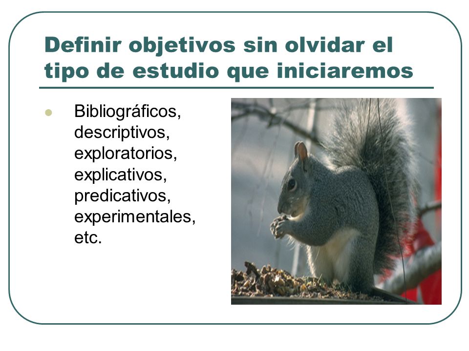 Definir objetivos sin olvidar el tipo de estudio que iniciaremos