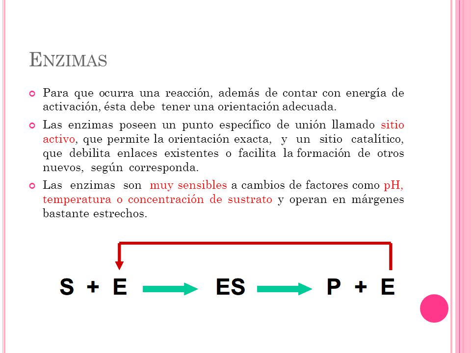 Enzimas Para que ocurra una reacción, además de contar con energía de activación, ésta debe tener una orientación adecuada.