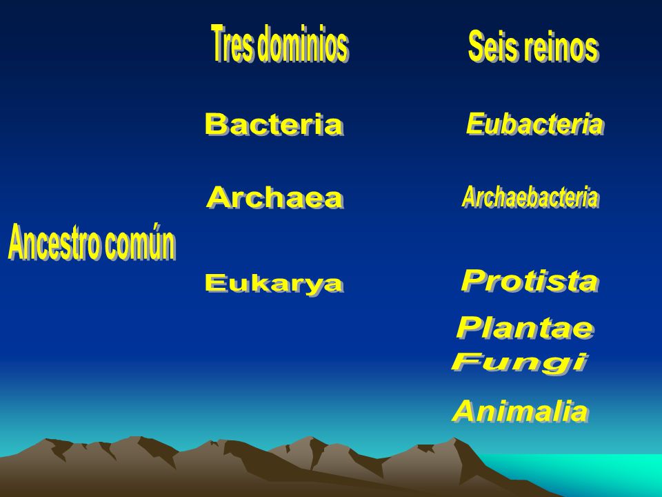 Tres dominios Seis reinos. Bacteria. Eubacteria. Archaea. Archaebacteria. Ancestro común. Protista.