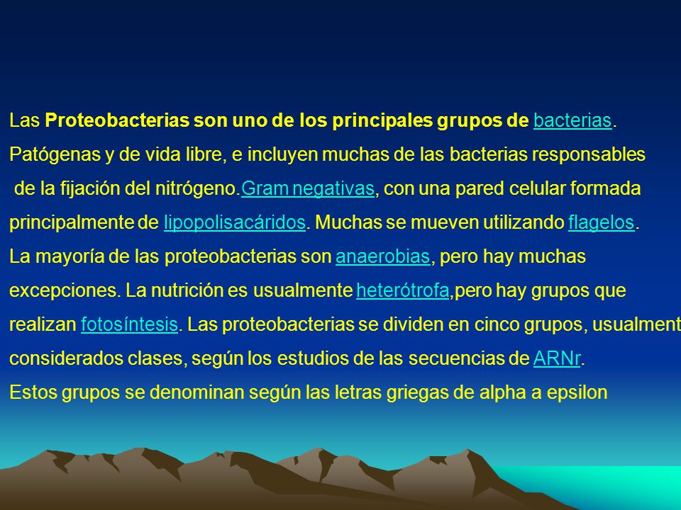 Las Proteobacterias son uno de los principales grupos de bacterias.