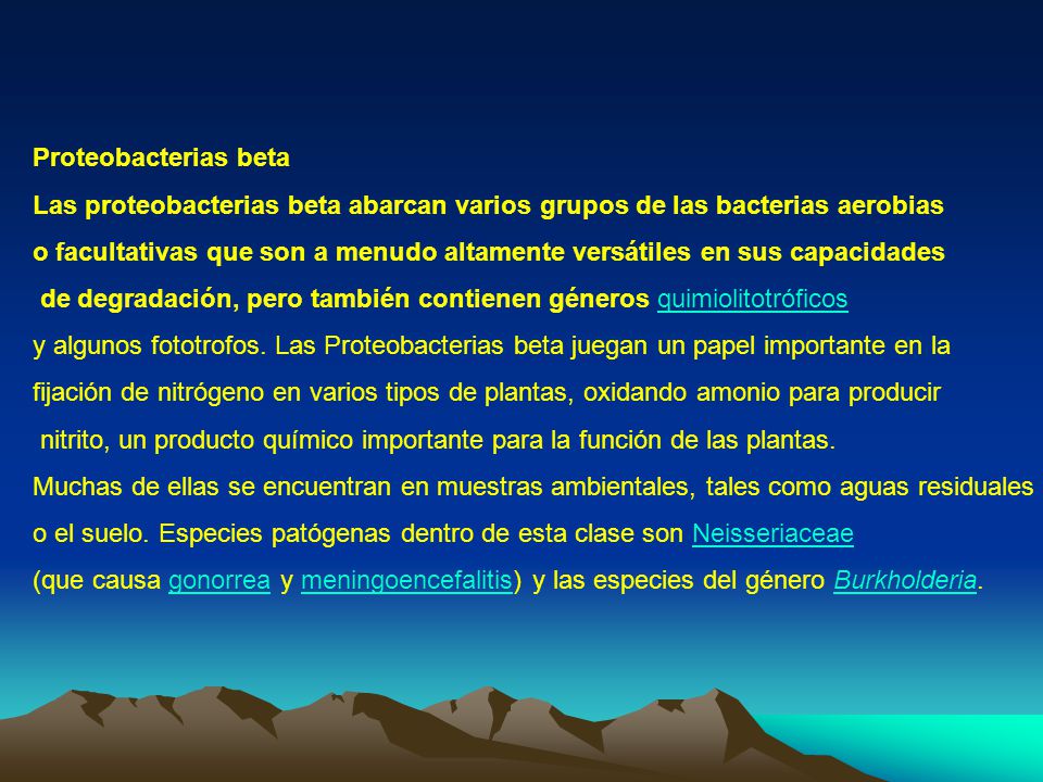 Proteobacterias beta Las proteobacterias beta abarcan varios grupos de las bacterias aerobias.