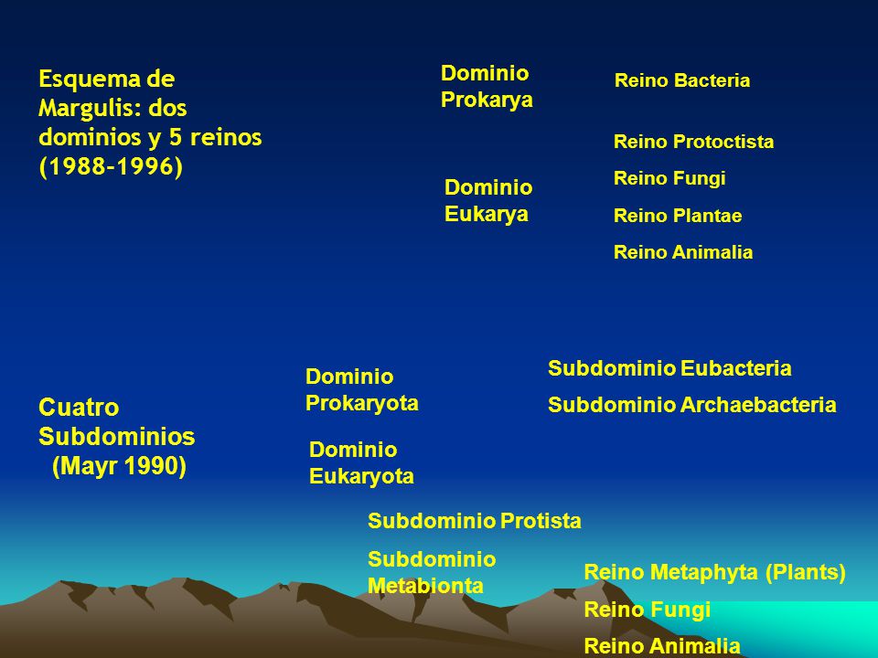 Esquema de Margulis: dos dominios y 5 reinos ( )
