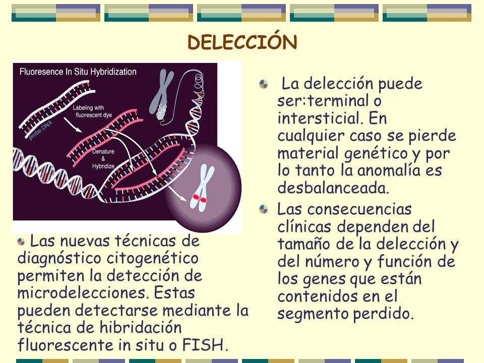DELECCIÓN La delección puede ser:terminal o intersticial. En cualquier caso se pierde material genético y por lo tanto la anomalía es desbalanceada.