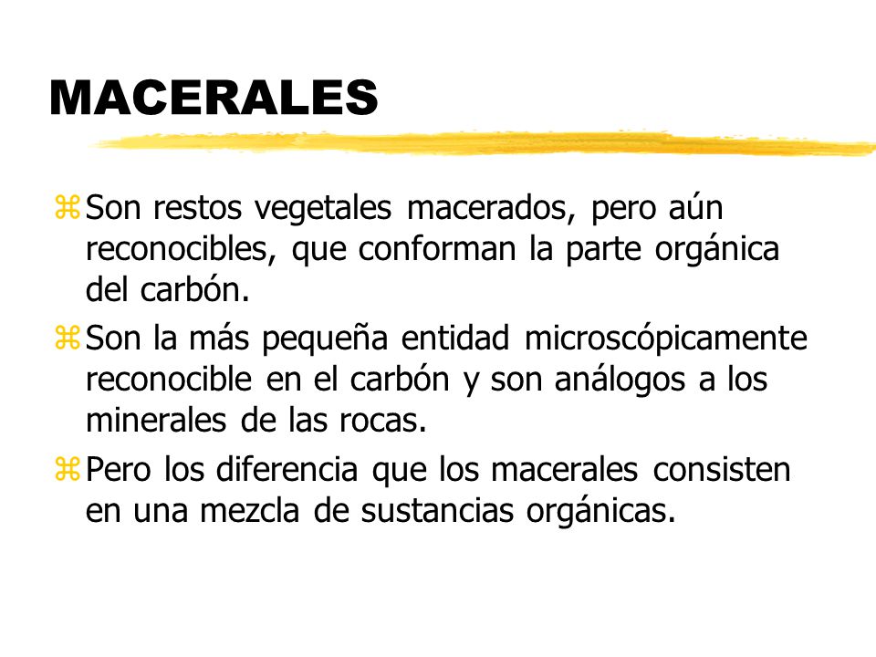 MACERALES Son restos vegetales macerados, pero aún reconocibles, que conforman la parte orgánica del carbón.
