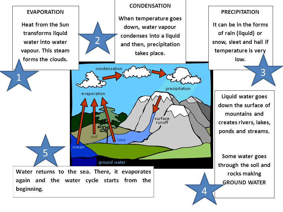 CONDENSATION When temperature goes down, water vapour condenses into a liquid and then, precipitation takes place.
