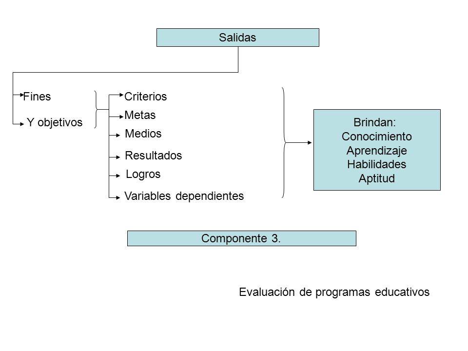 Salidas Fines. Criterios. Metas. Brindan: Conocimiento. Aprendizaje. Habilidades. Aptitud. Y objetivos.