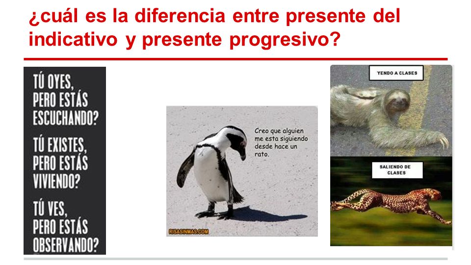 ¿cuál es la diferencia entre presente del indicativo y presente progresivo