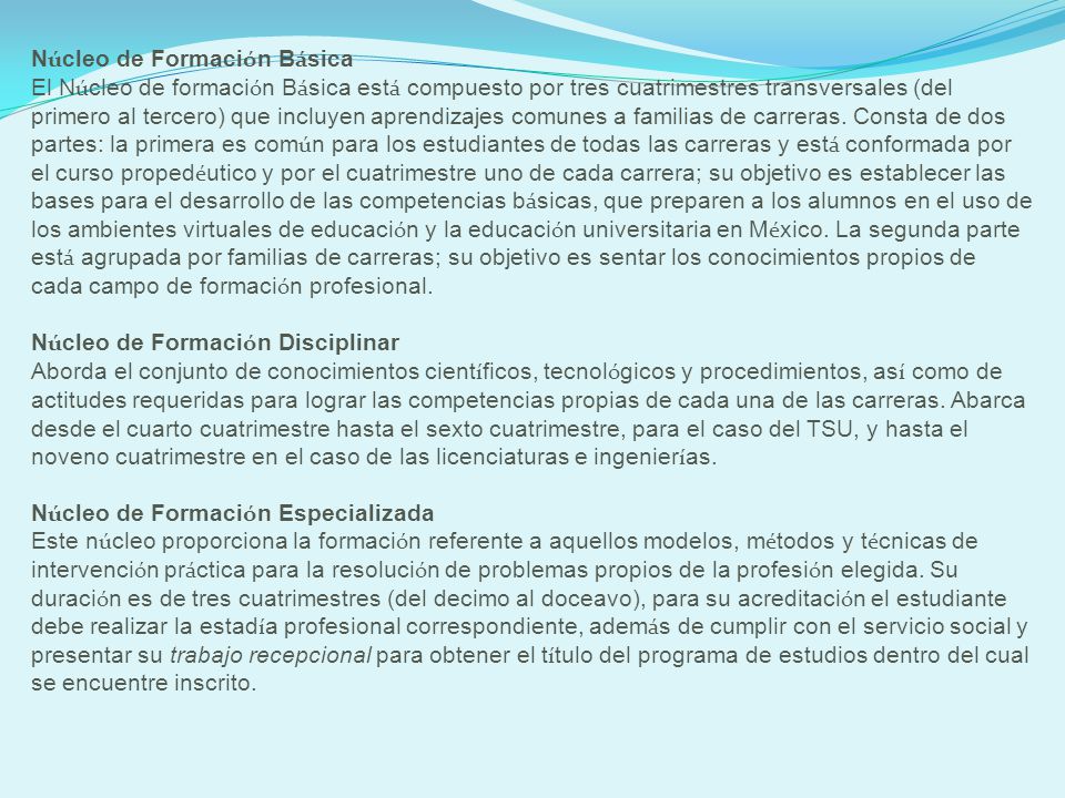 Núcleo de Formación Básica El Núcleo de formación Básica está compuesto por tres cuatrimestres transversales (del primero al tercero) que incluyen aprendizajes comunes a familias de carreras.