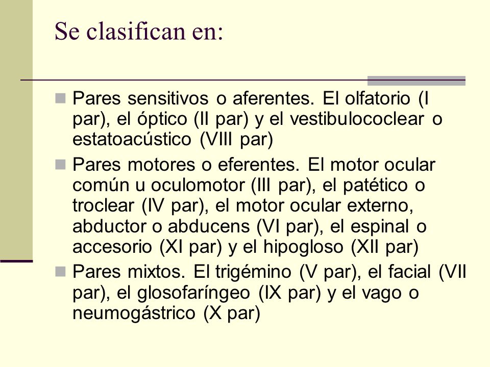 Se clasifican en: Pares sensitivos o aferentes. El olfatorio (I par), el óptico (II par) y el vestibulococlear o estatoacústico (VIII par)