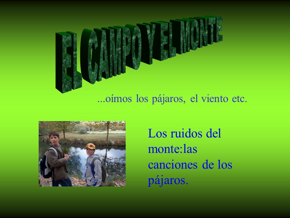 EL CAMPO Y EL MONTE Los ruidos del monte:las canciones de los pájaros.