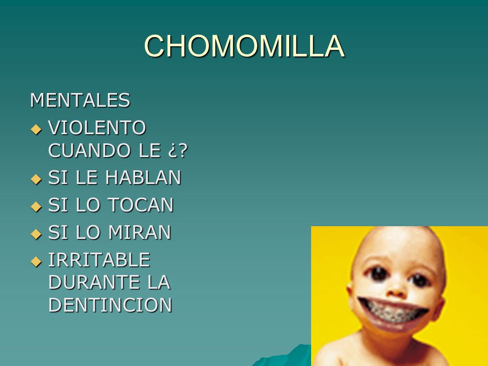 CHOMOMILLA MENTALES VIOLENTO CUANDO LE ¿ SI LE HABLAN SI LO TOCAN