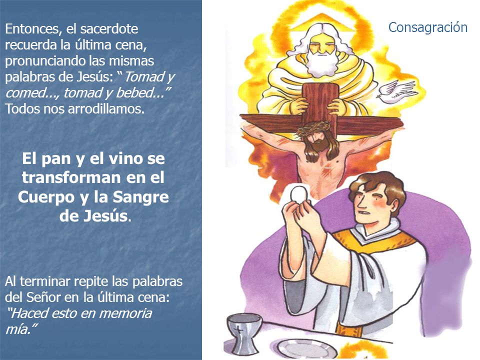 El pan y el vino se transforman en el Cuerpo y la Sangre