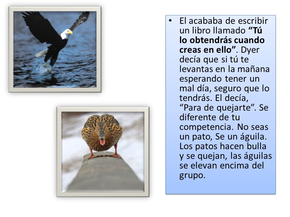 El acababa de escribir un libro llamado Tú lo obtendrás cuando creas en ello .
