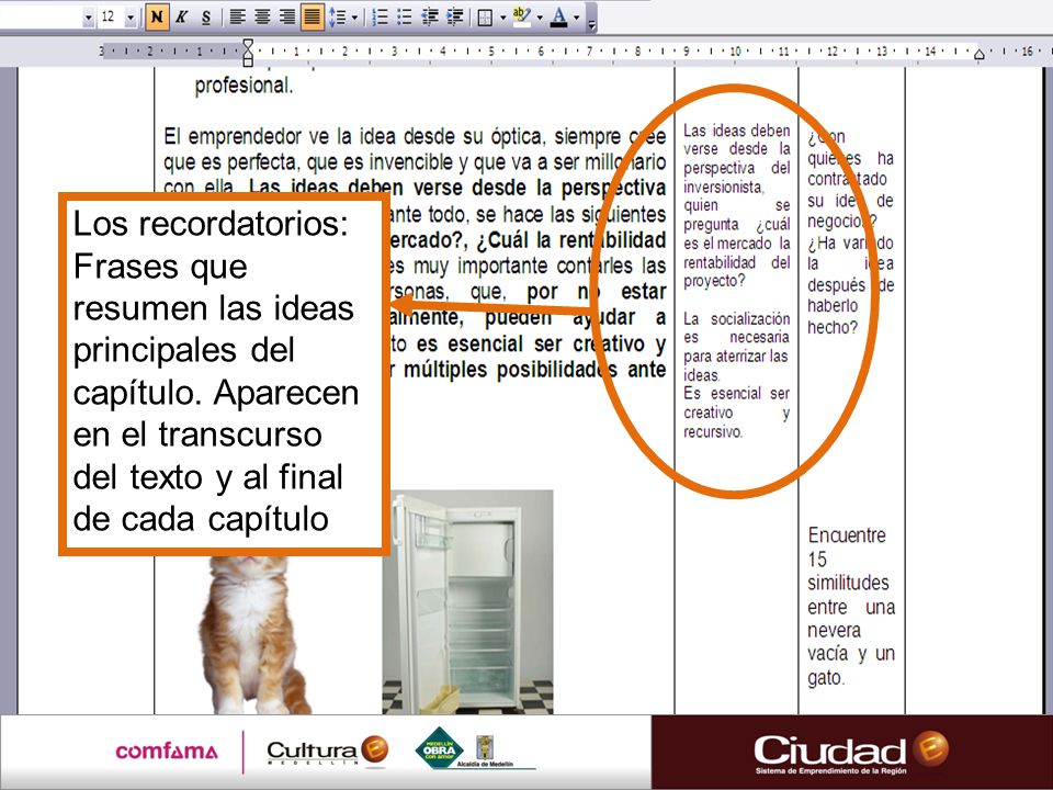 Los recordatorios: Frases que resumen las ideas principales del capítulo.