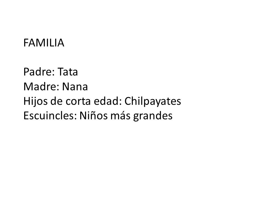 FAMILIA Padre: Tata Madre: Nana Hijos de corta edad: Chilpayates Escuincles: Niños más grandes