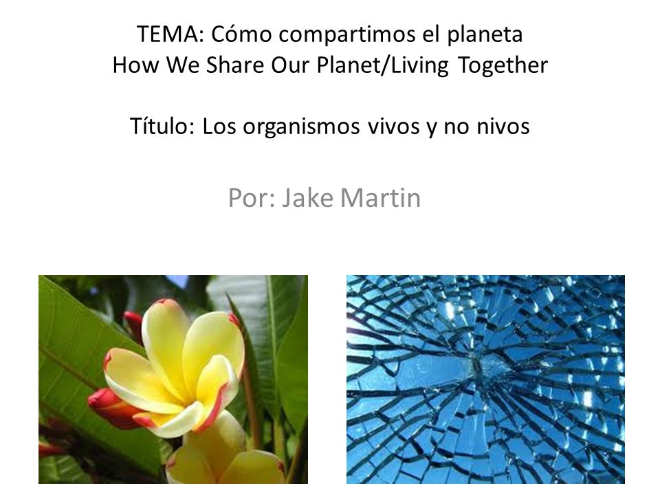 TEMA: Cómo compartimos el planeta How We Share Our Planet/Living Together Título: Los organismos vivos y no nivos