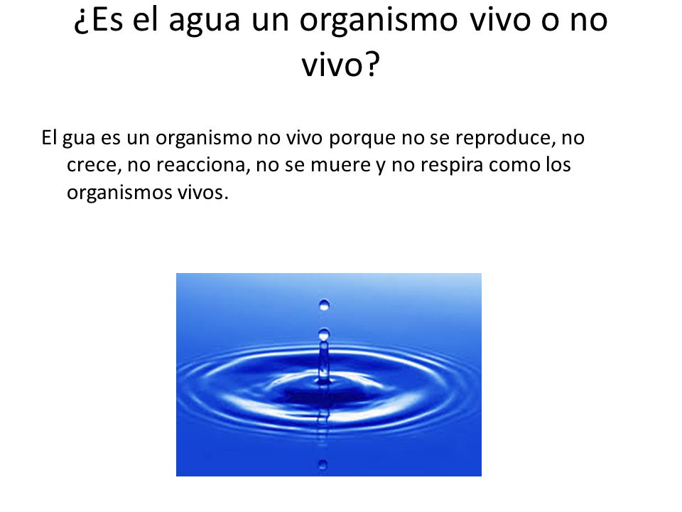 ¿Es el agua un organismo vivo o no vivo