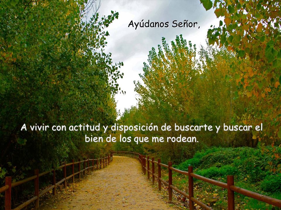 Ayúdanos Señor, A vivir con actitud y disposición de buscarte y buscar el bien de los que me rodean.