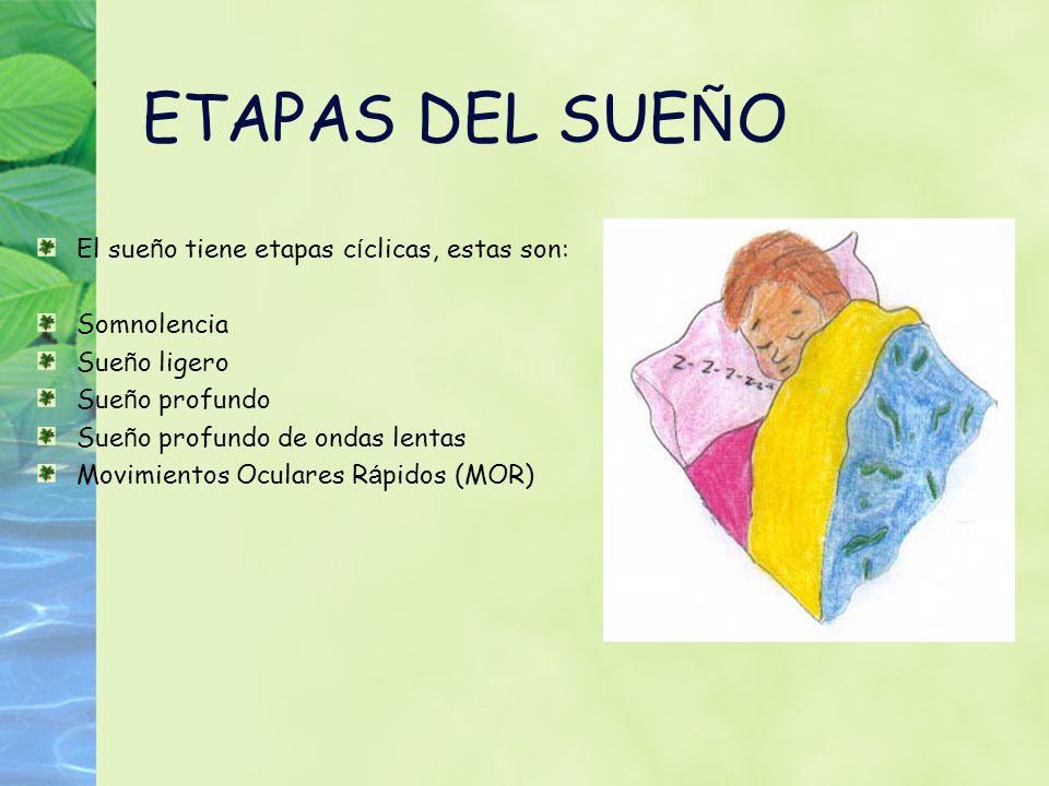 ETAPAS DEL SUEÑO El sueño tiene etapas cíclicas, estas son: