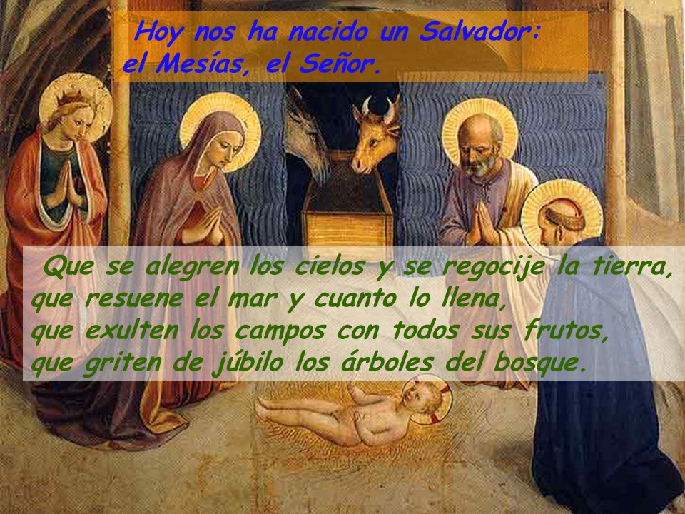 Hoy nos ha nacido un Salvador: el Mesías, el Señor.